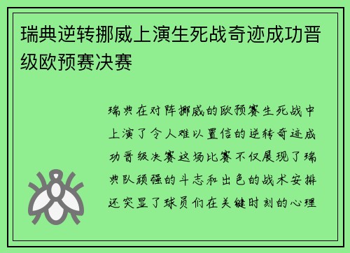 瑞典逆转挪威上演生死战奇迹成功晋级欧预赛决赛