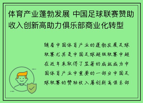 体育产业蓬勃发展 中国足球联赛赞助收入创新高助力俱乐部商业化转型