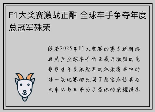 F1大奖赛激战正酣 全球车手争夺年度总冠军殊荣