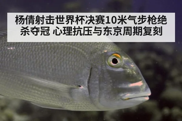 杨倩射击世界杯决赛10米气步枪绝杀夺冠 心理抗压与东京周期复刻 - jiuyou game