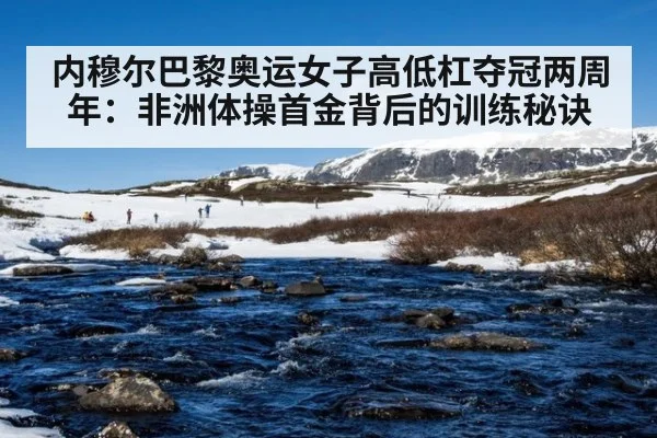 内穆尔巴黎奥运女子高低杠夺冠两周年：非洲体操首金背后的训练秘诀 - jiuyou game